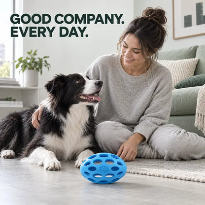 Durable Rubber Interactive Dog Ball Toy - Shake-Activated Sound Enrichment Toy for All Breeds, Encourages Activity, Offers Fetch Fun, Fruit Print Design