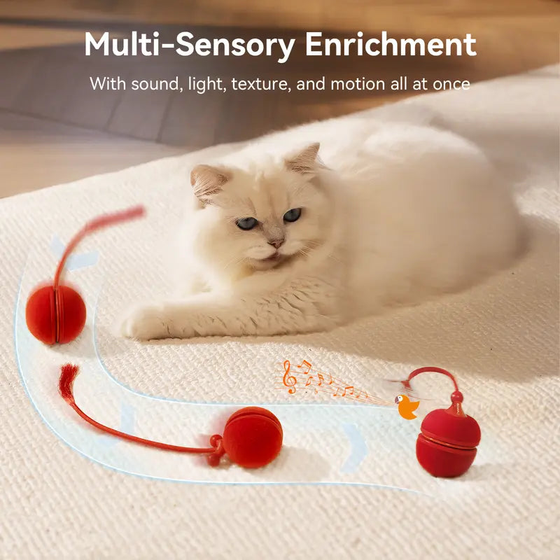 Cheerble 2 in 1 Interactive Cat Toys for Indoor Cats - Wicked Ball Duo2 Automatic Cat Toy, Dual Interchangeable Shells, Electric Cat Toy Ball with Chirping Sounds, Rechargeable Moving Kitten Toys