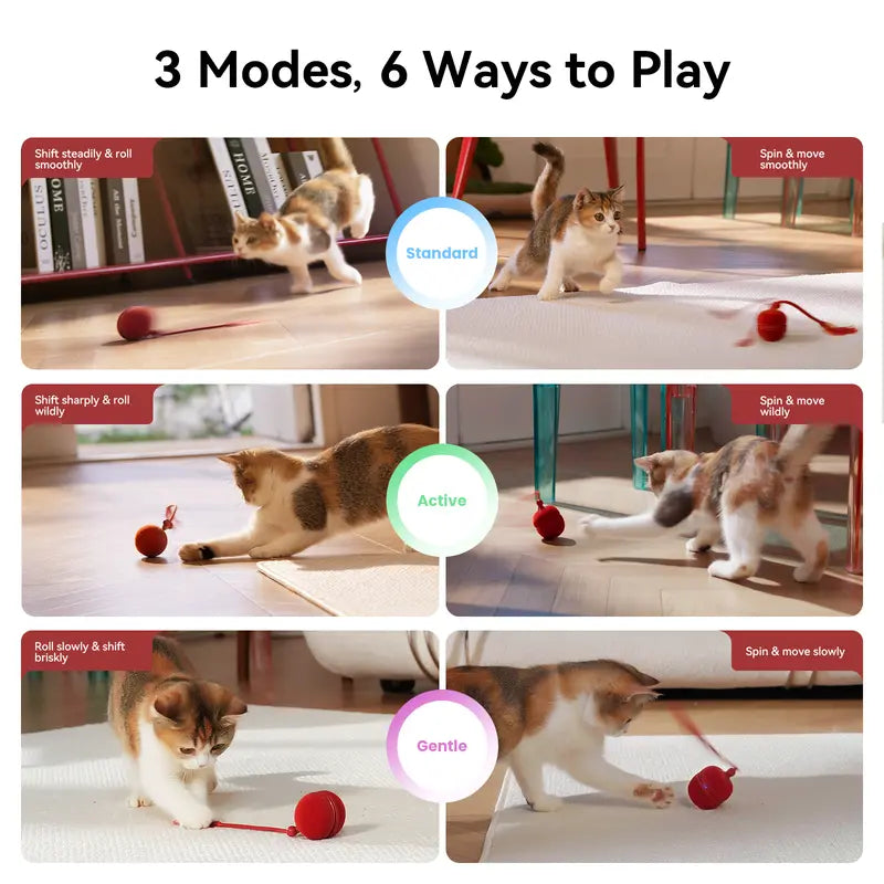 Cheerble 2 in 1 Interactive Cat Toys for Indoor Cats - Wicked Ball Duo2 Automatic Cat Toy, Dual Interchangeable Shells, Electric Cat Toy Ball with Chirping Sounds, Rechargeable Moving Kitten Toys