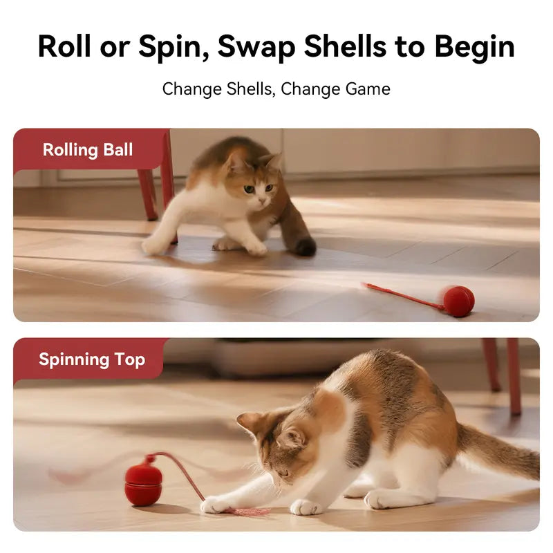 Cheerble 2 in 1 Interactive Cat Toys for Indoor Cats - Wicked Ball Duo2 Automatic Cat Toy, Dual Interchangeable Shells, Electric Cat Toy Ball with Chirping Sounds, Rechargeable Moving Kitten Toys