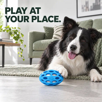 Durable Rubber Interactive Dog Ball Toy - Shake-Activated Sound Enrichment Toy for All Breeds, Encourages Activity, Offers Fetch Fun, Fruit Print Design