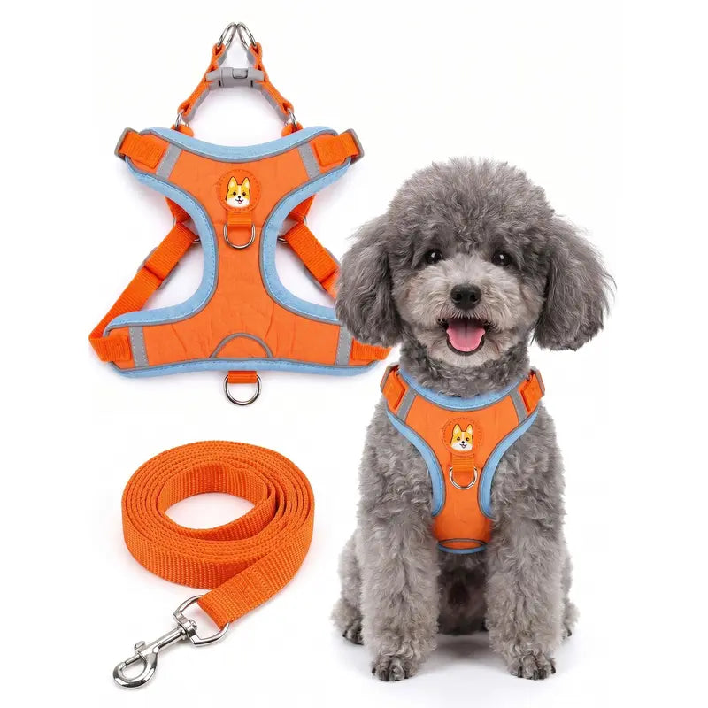 2 Pack Adjustable Pet Harness & Leash Set, Soft Suede Vest, Durable & Reflective, No-Tangle Leash for Easy Walking, Ideal for Daily Walks & Night Outdoor Use