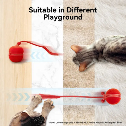 Cheerble 2 in 1 Interactive Cat Toys for Indoor Cats - Wicked Ball Duo2 Automatic Cat Toy, Dual Interchangeable Shells, Electric Cat Toy Ball with Chirping Sounds, Rechargeable Moving Kitten Toys