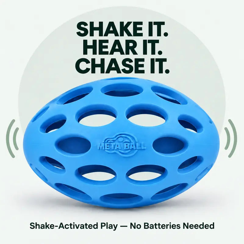Durable Rubber Interactive Dog Ball Toy - Shake-Activated Sound Enrichment Toy for All Breeds, Encourages Activity, Offers Fetch Fun, Fruit Print Design