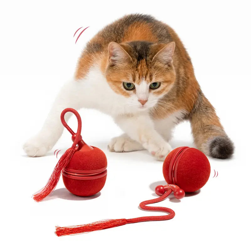 Cheerble 2 in 1 Interactive Cat Toys for Indoor Cats - Wicked Ball Duo2 Automatic Cat Toy, Dual Interchangeable Shells, Electric Cat Toy Ball with Chirping Sounds, Rechargeable Moving Kitten Toys